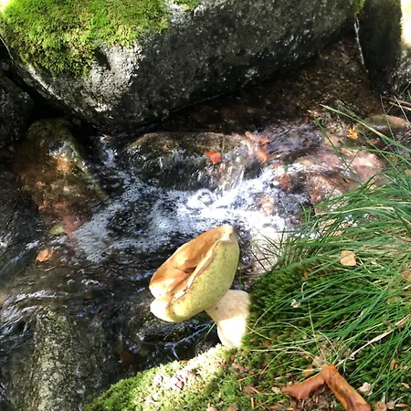 Maison d'hôtes Mas La Tabatière