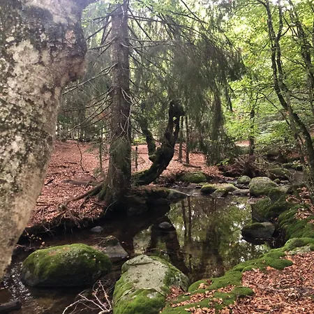 Mas La Tabatière Maison d'hôtes